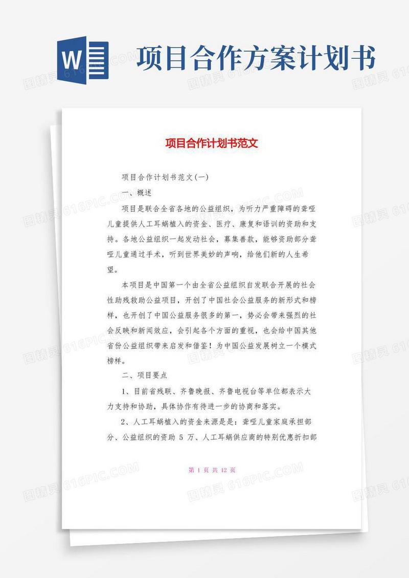项目合作计划书范文