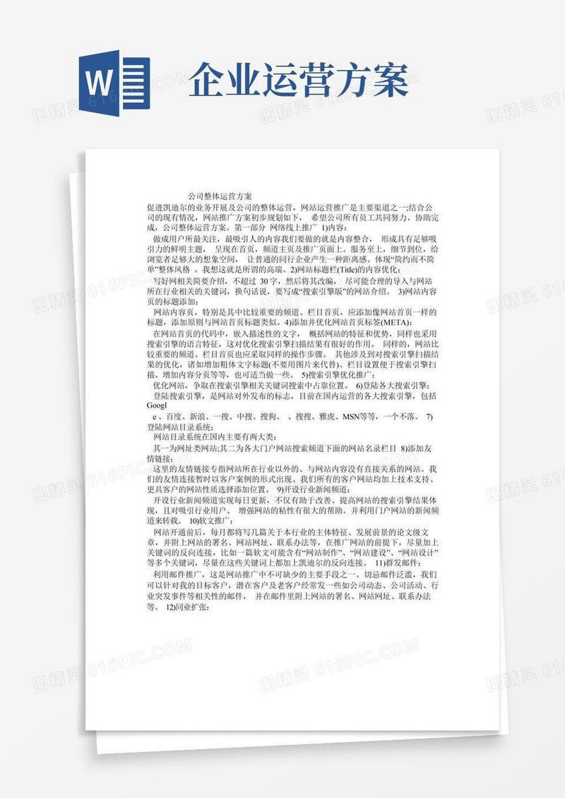 公司整体运营方案