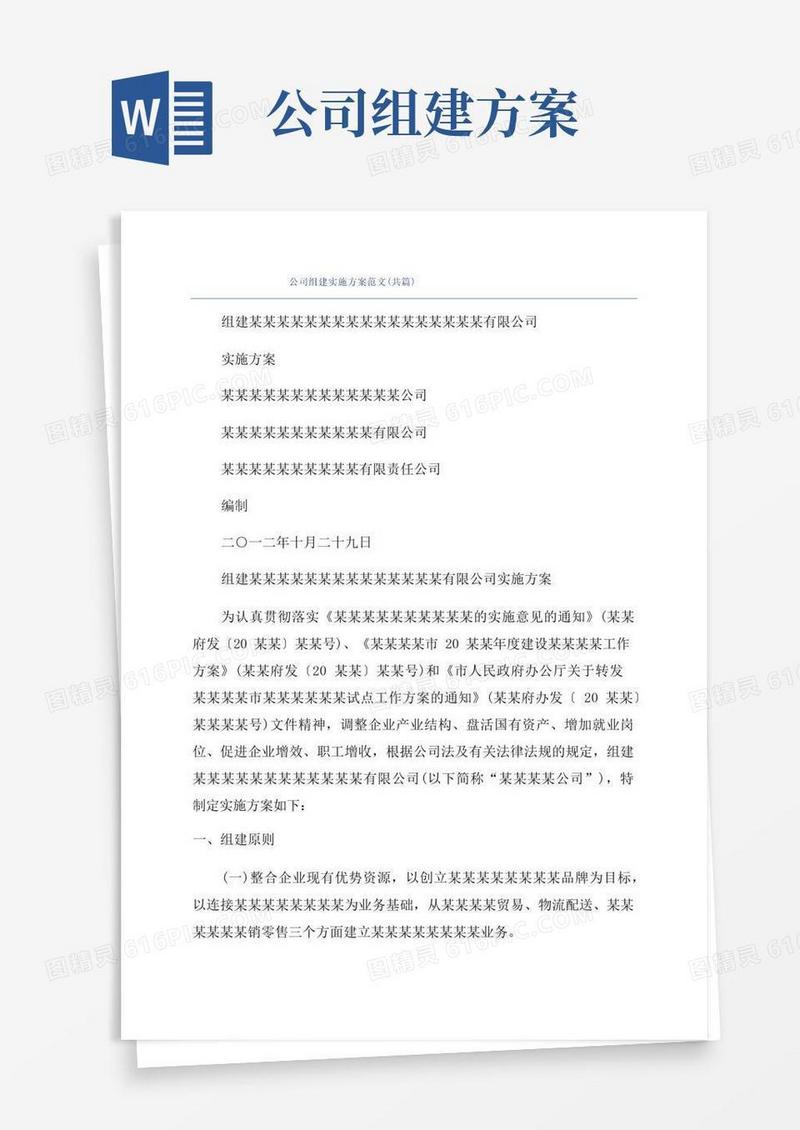 公司组建实施方案范文(共篇)