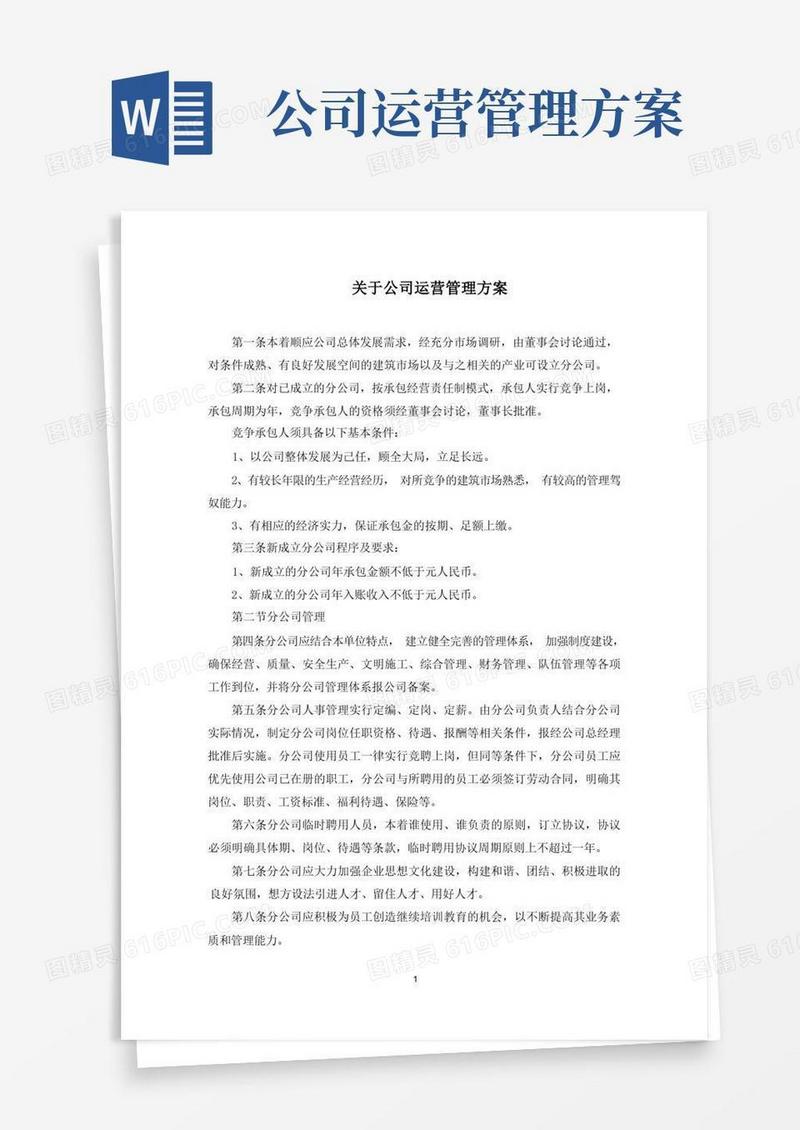 最新公司运营管理方案