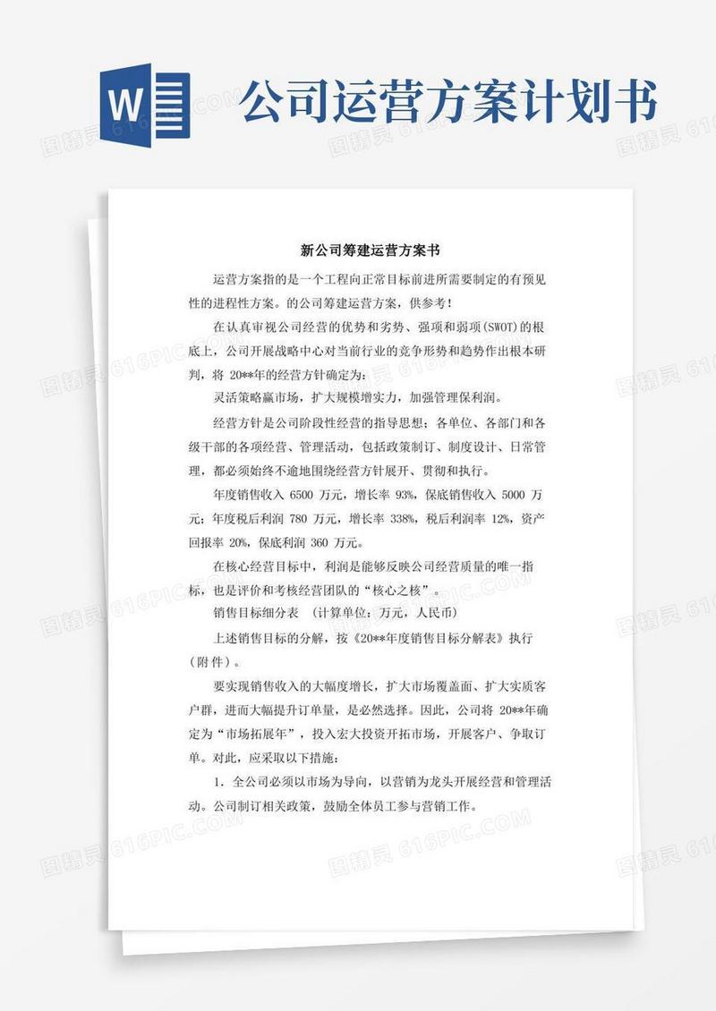 新公司筹建运营计划书