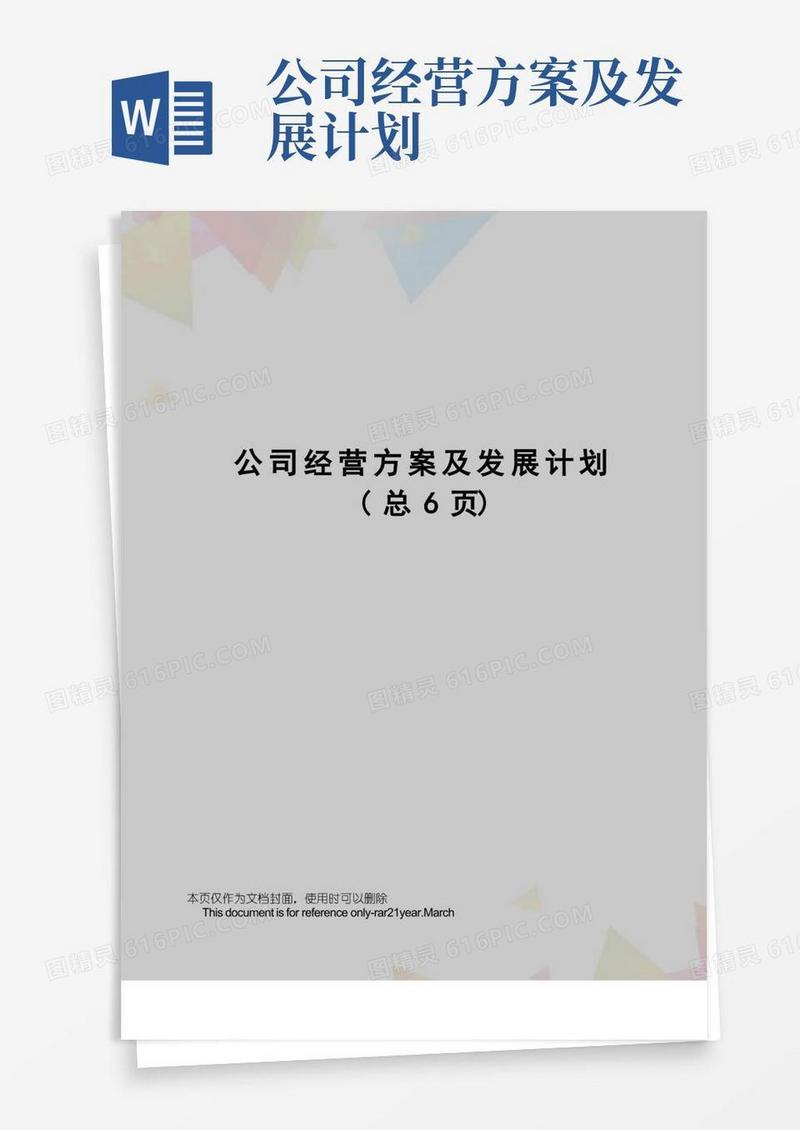 公司经营方案及发展计划