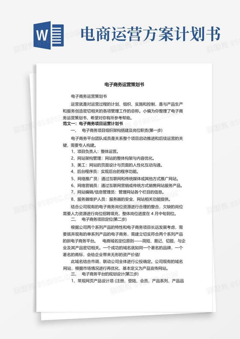 电子商务运营策划书