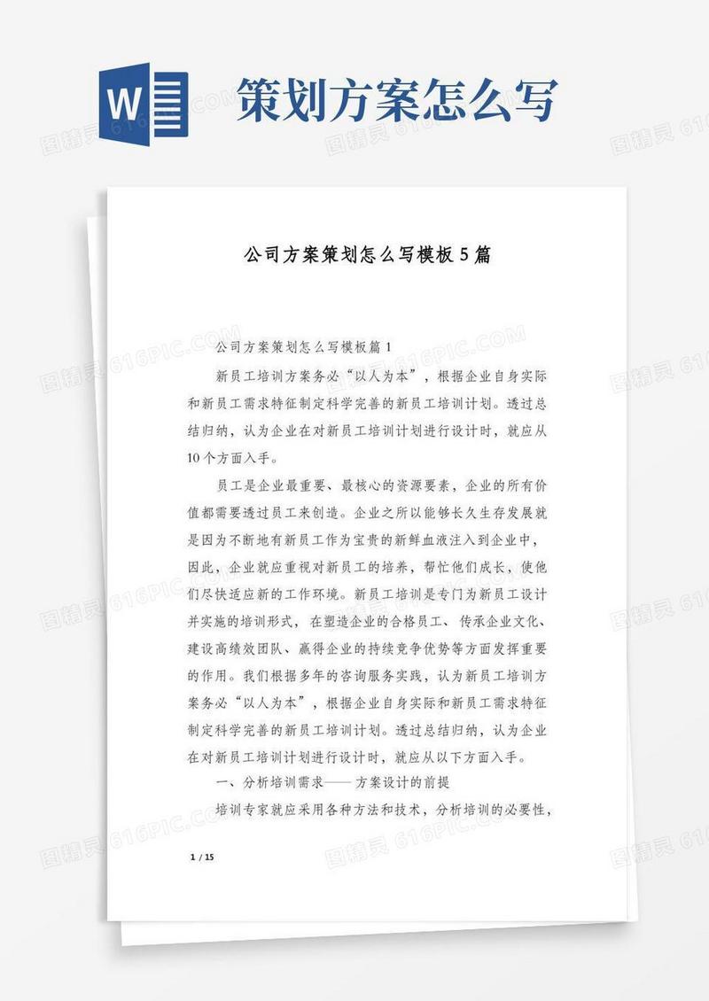 公司方案策划怎么写模板5篇