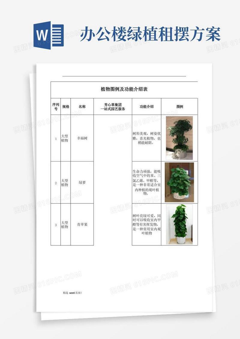 办公室盆栽租摆植物详细介绍