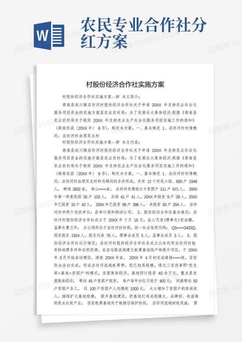 村股份经济合作社实施方案