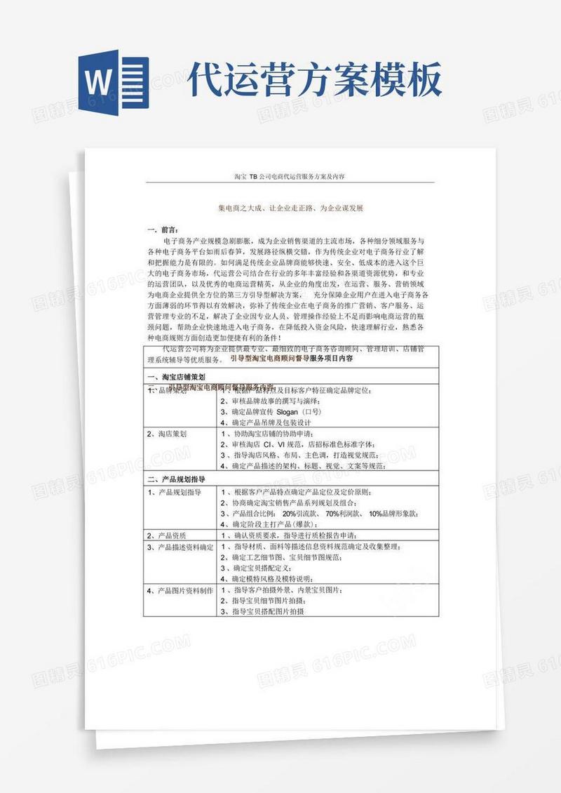 淘宝TB公司电商代运营服务方案及内容