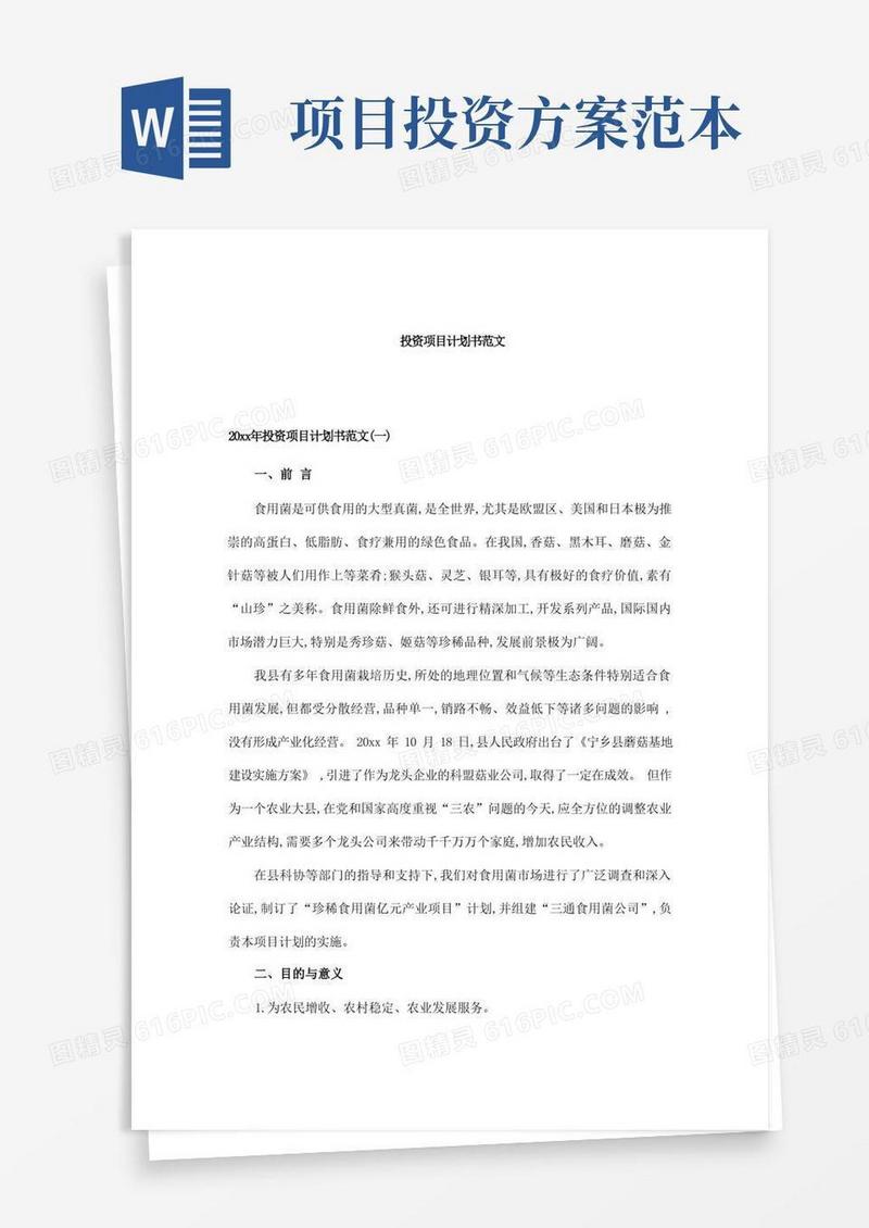 投资项目计划书范文