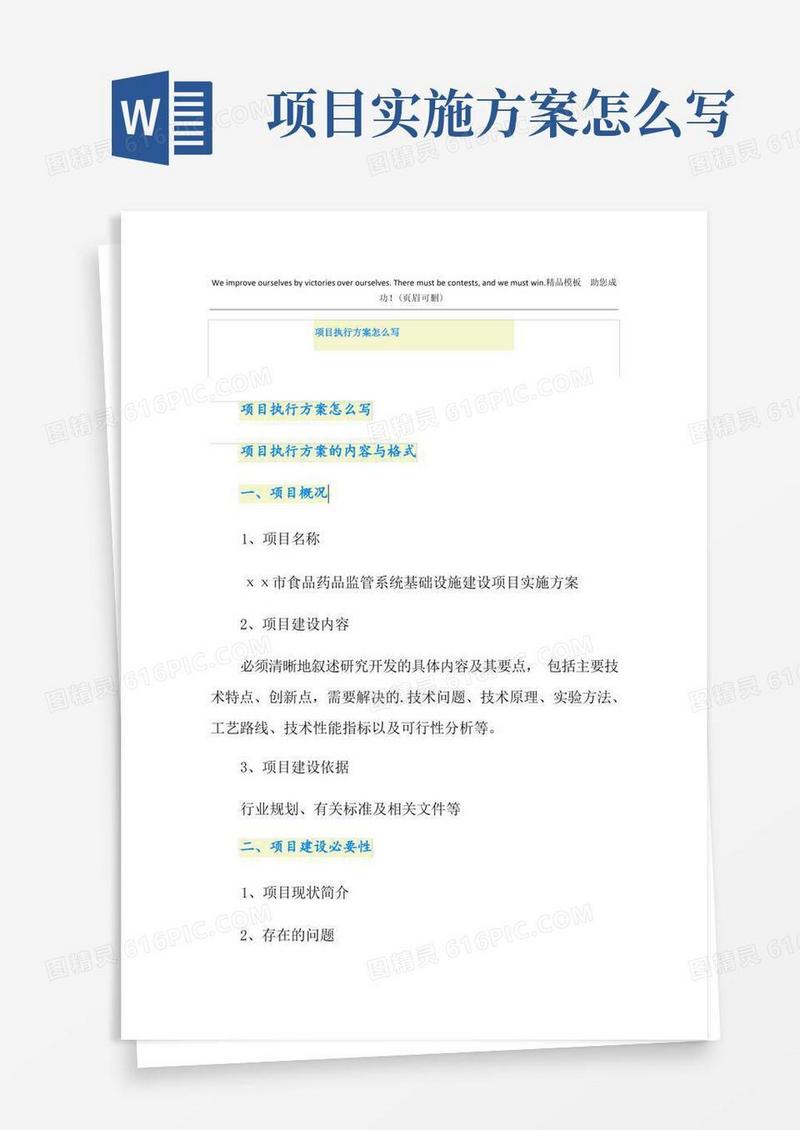 项目执行方案怎么写