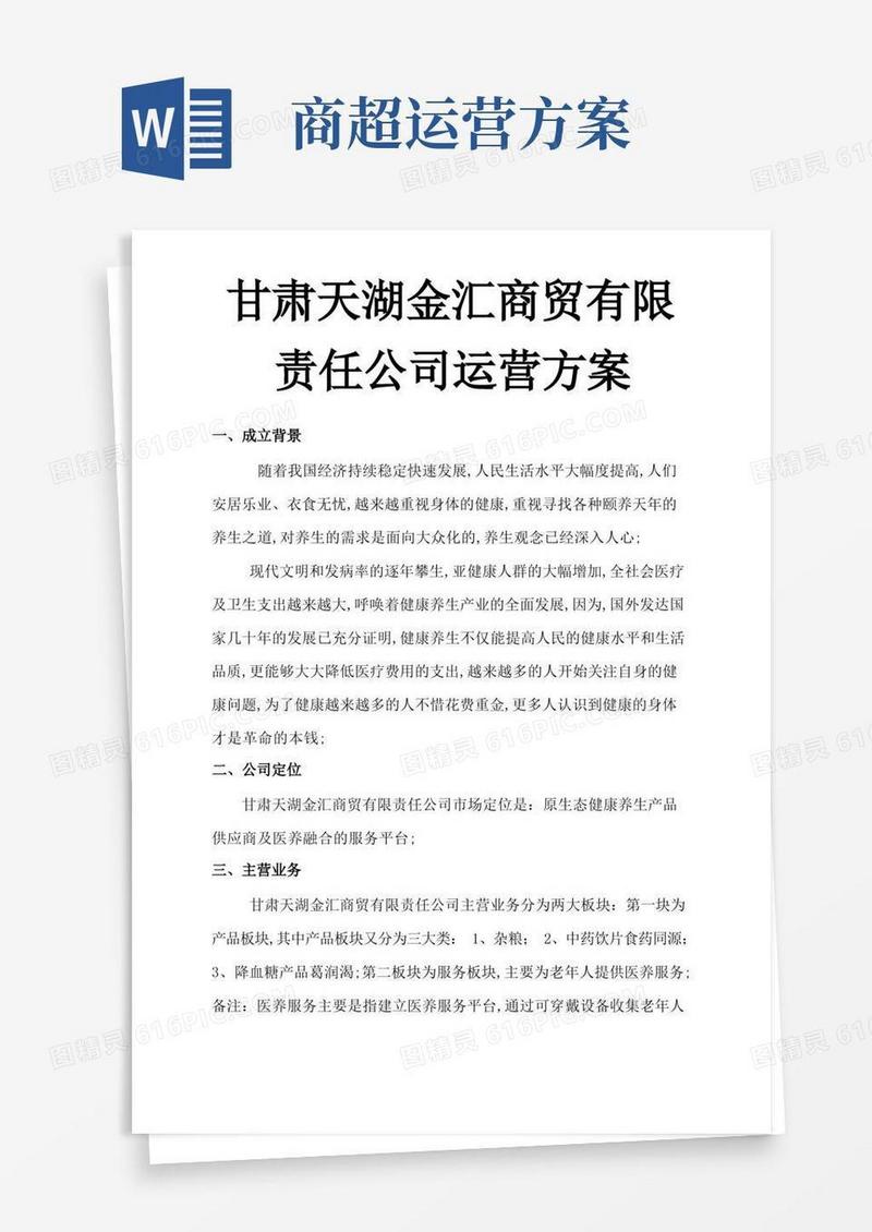 商贸公司运营方案