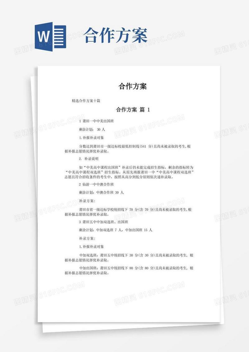 合作方案-专业文档