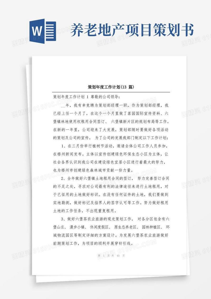 策划年度工作计划(13篇)