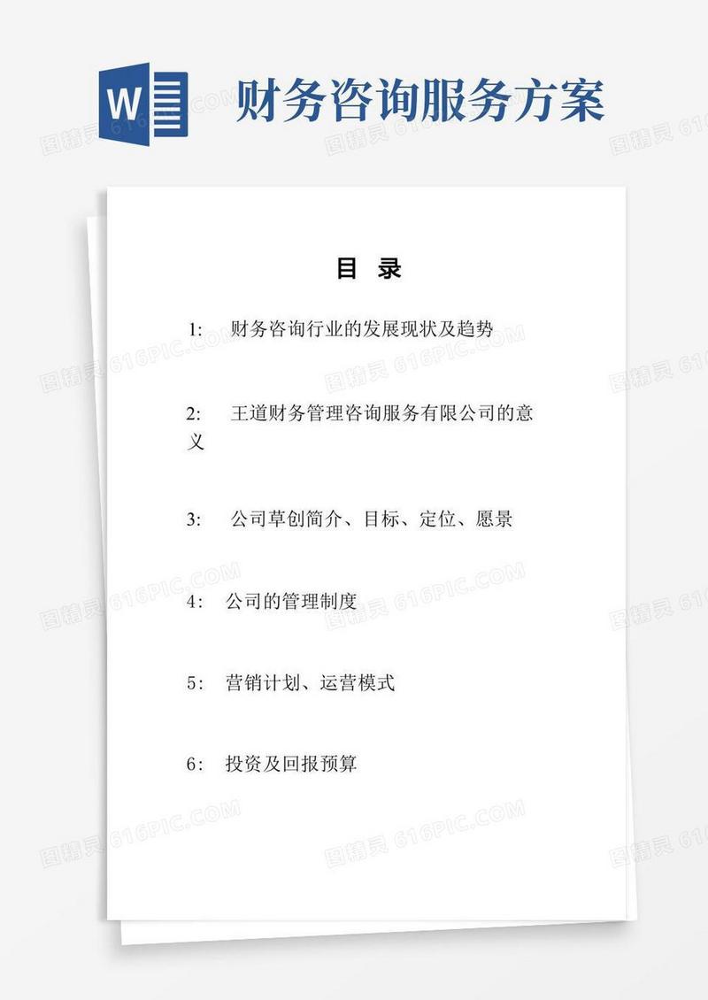 王道财务管理咨询公司方案初稿