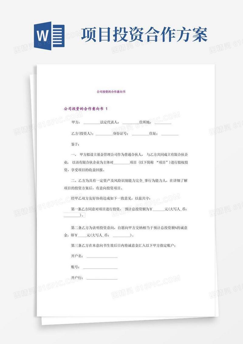 公司投资的合作意向书