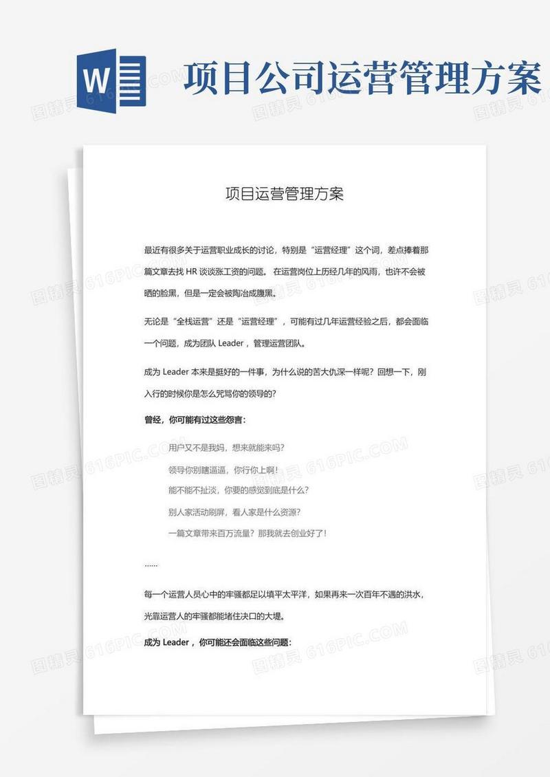 项目运营管理方案