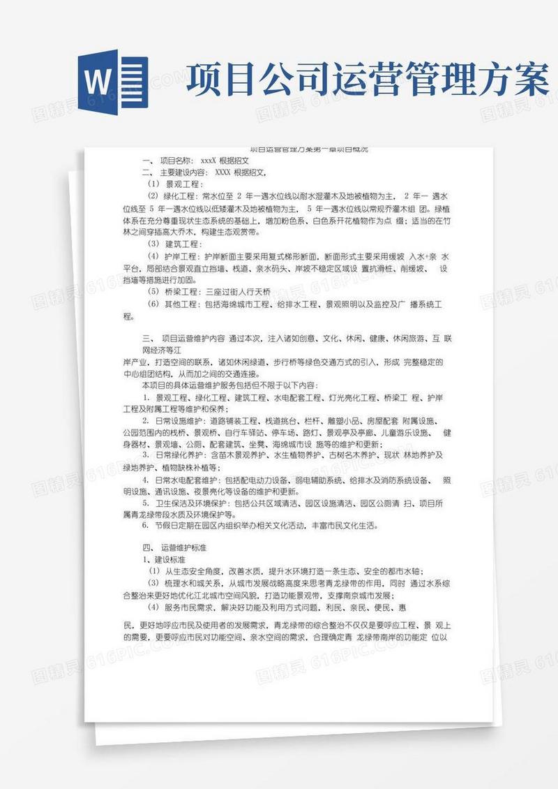 某公司项目运营管理方案(完美)