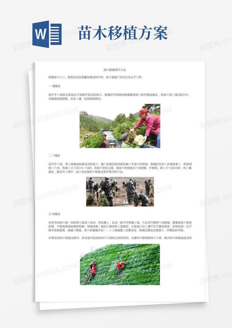 树木移植常用方法