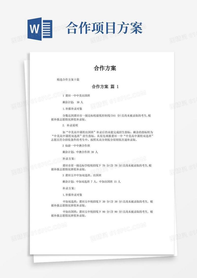 合作方案-专业文档