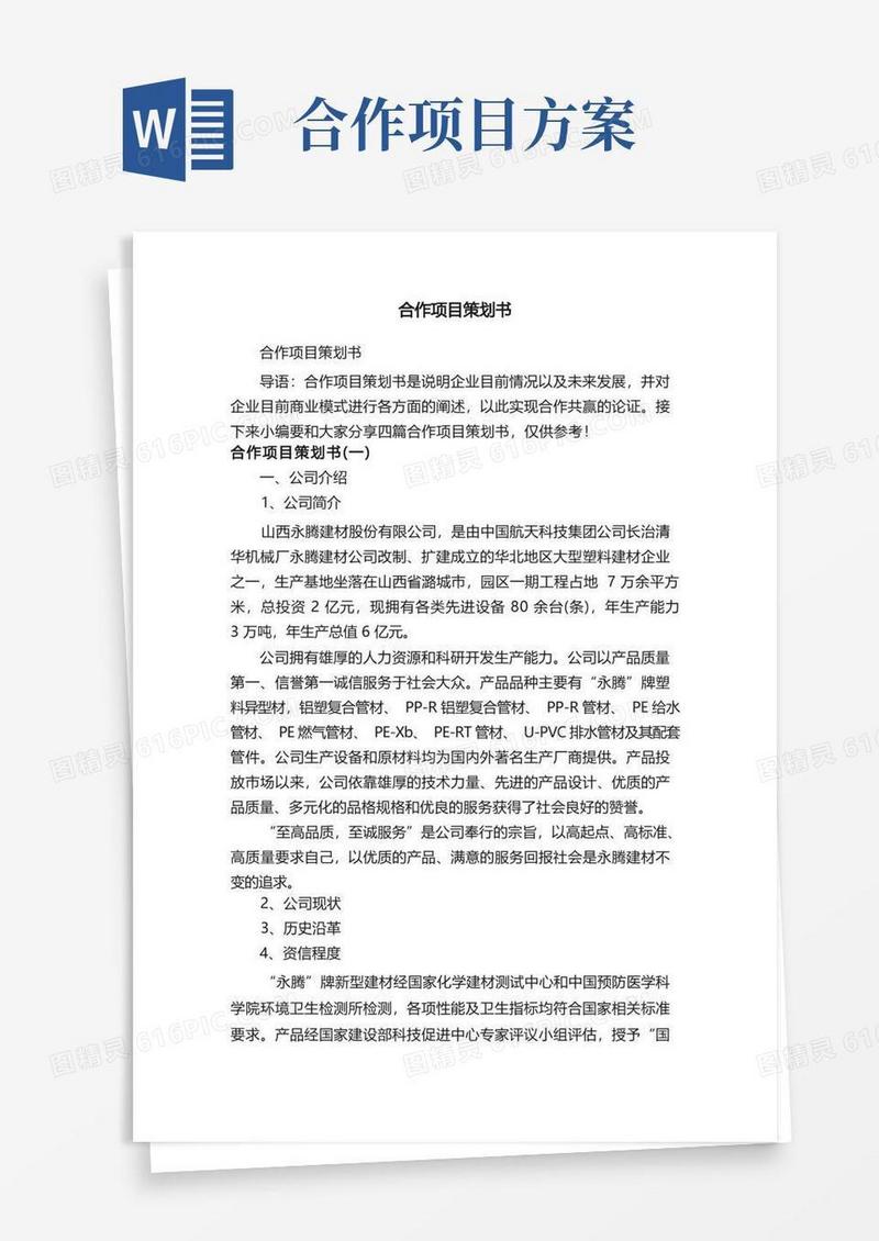 合作项目策划书