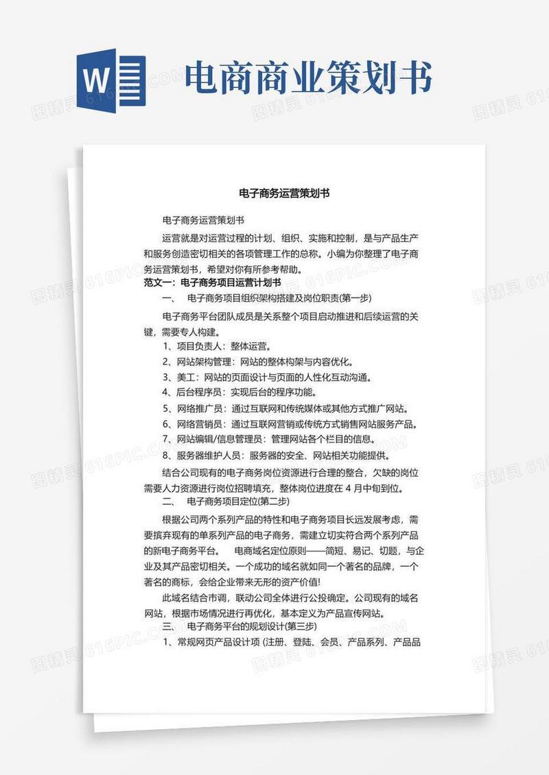 电子商务运营策划书