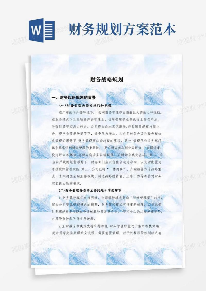 公司财务战略规划【范本模板】