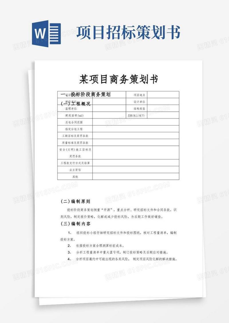 某项目商务策划书