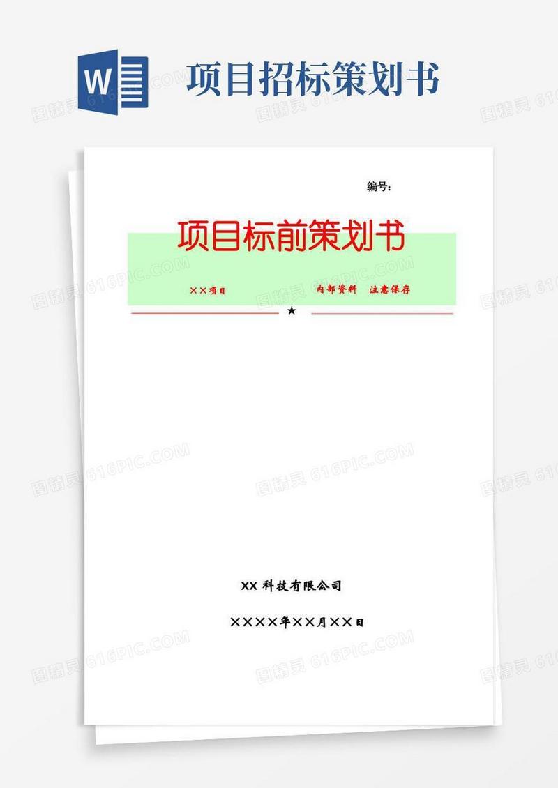项目投标前策划书
