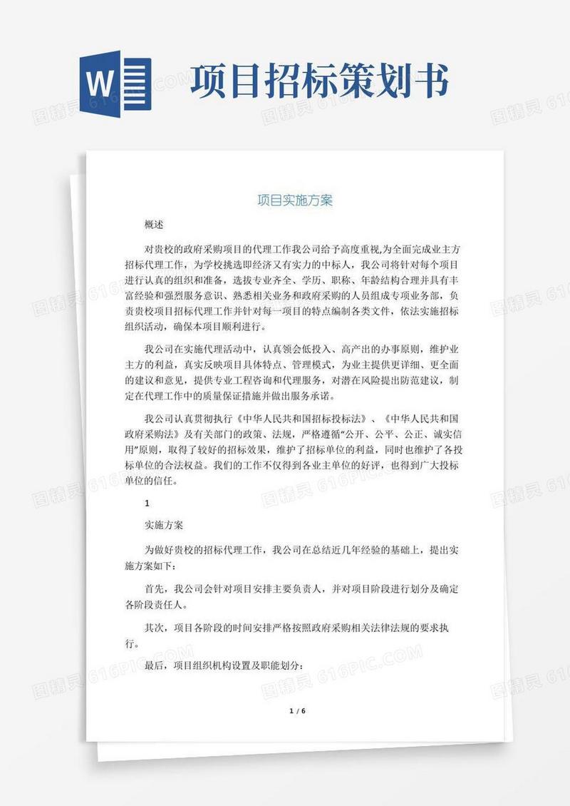 项目招标代理实施方案