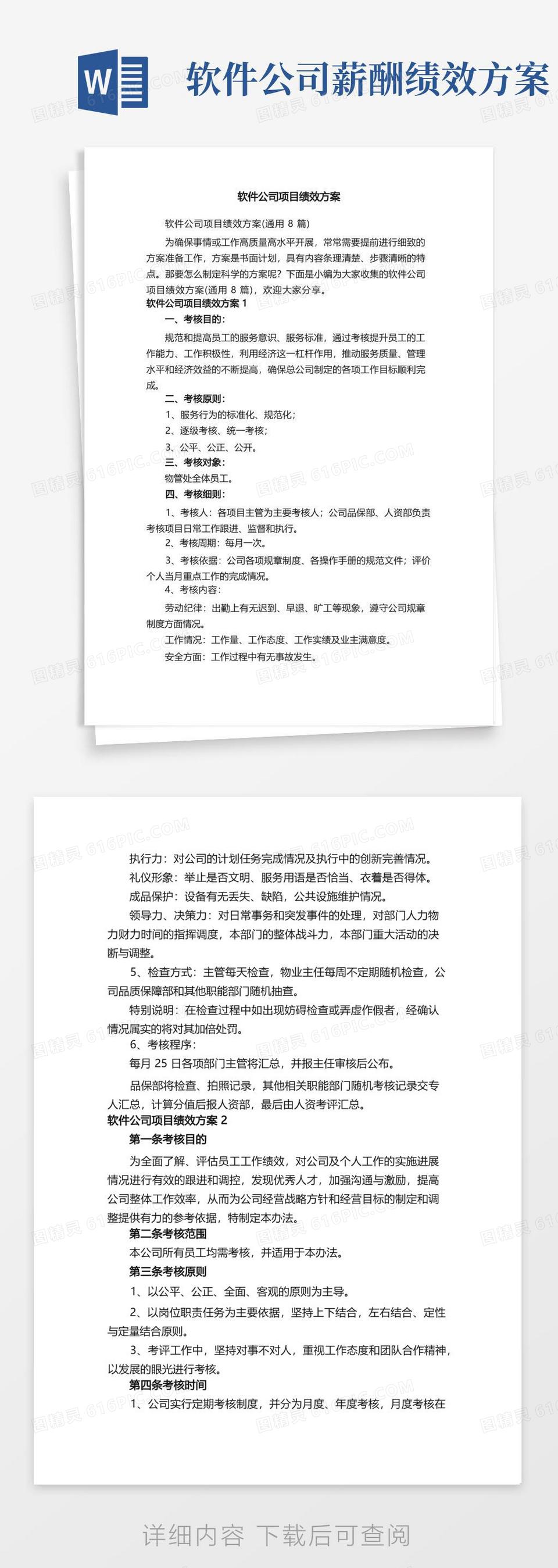 软件公司项目绩效方案（通用8篇）