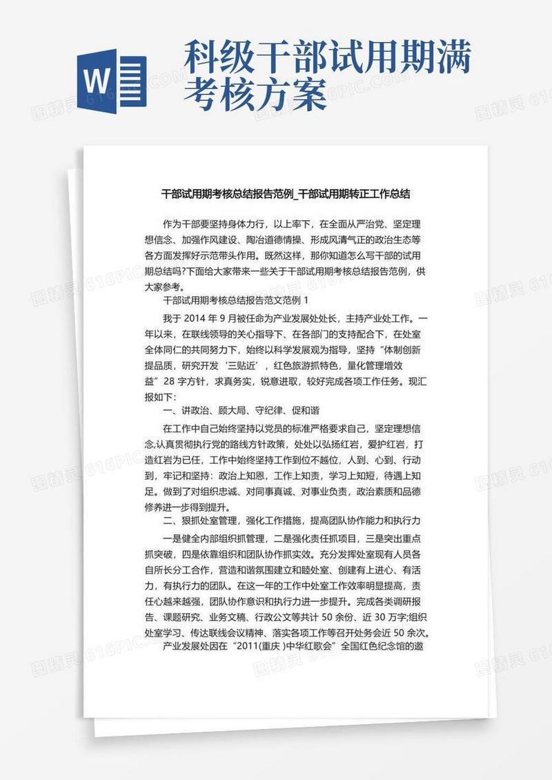 干部试用期考核总结报告范例_干部试用期转正工作总结