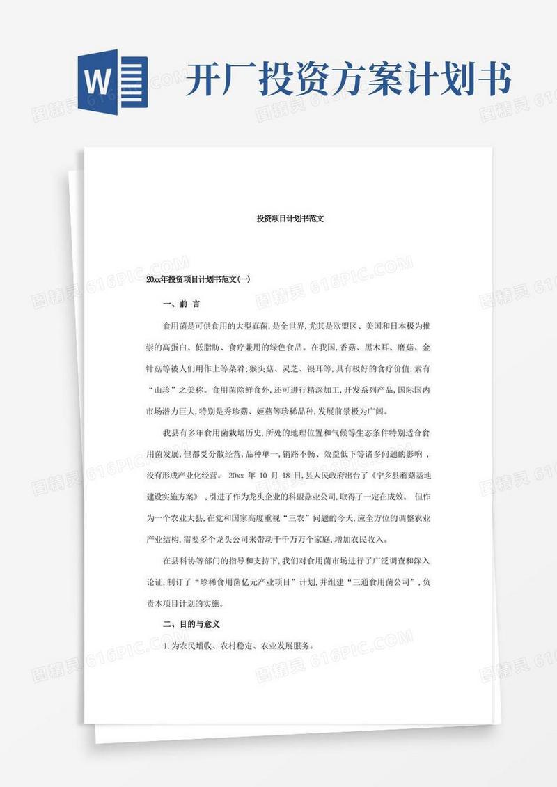 投资项目计划书范文