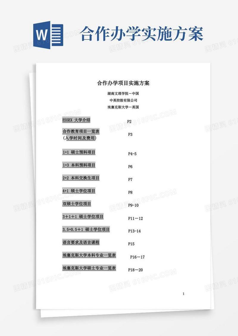 合作办学项目实施方案