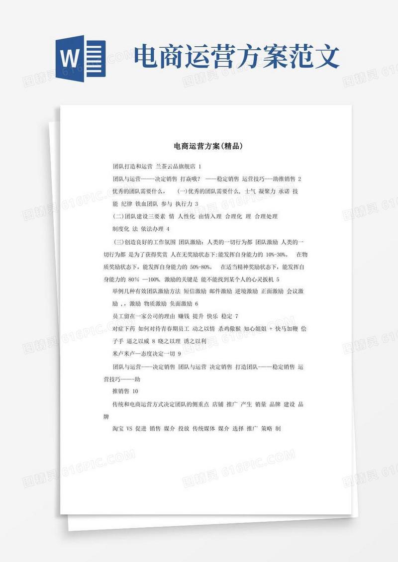 电商运营方案(精品)