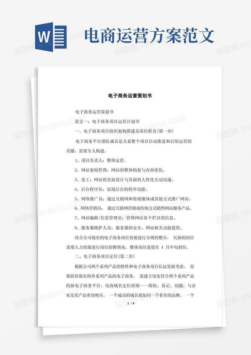 电子商务运营策划书