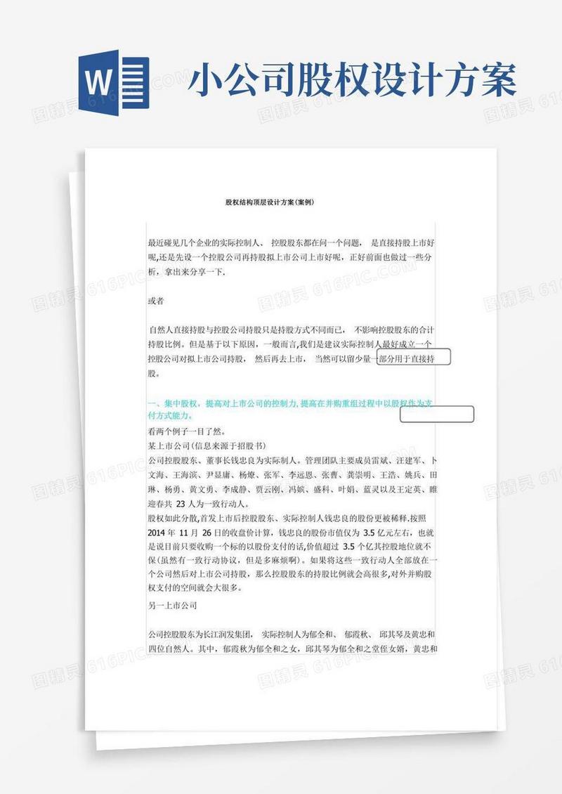 公司股权结构顶层设计方案(案例)