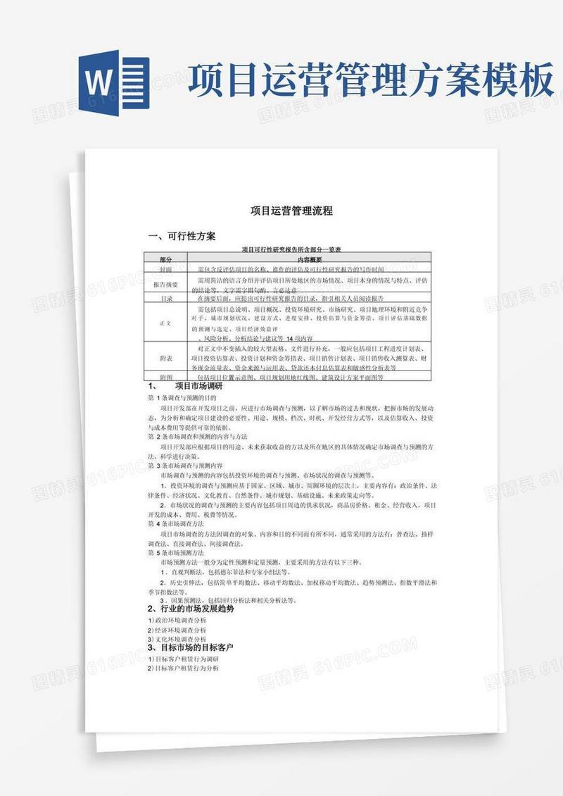 项目运营管理流程