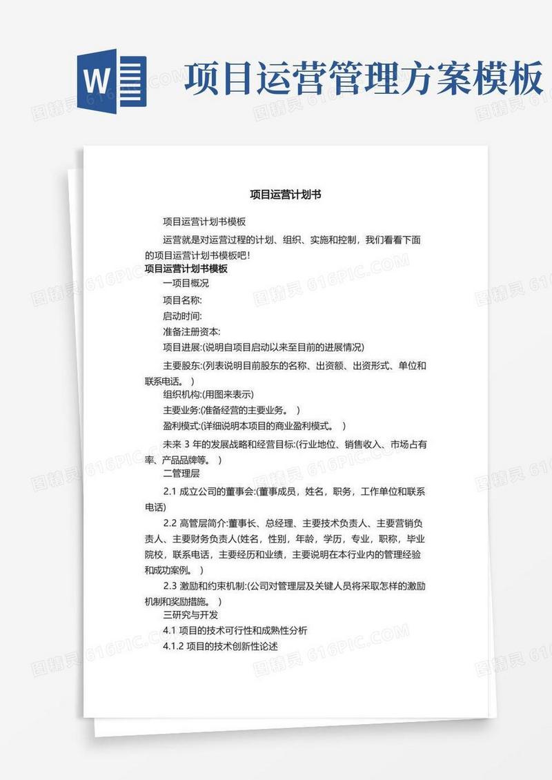 项目运营计划书模板