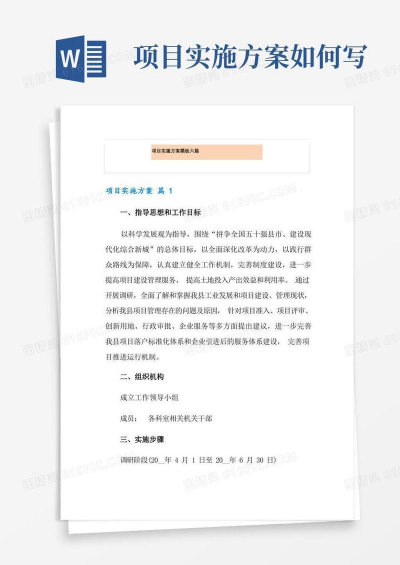 项目实施方案模板六篇