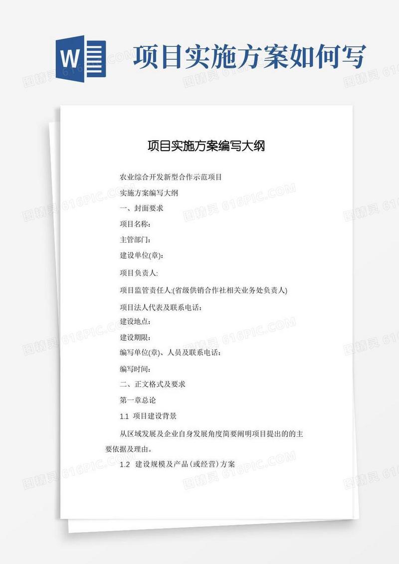 项目实施方案编写大纲