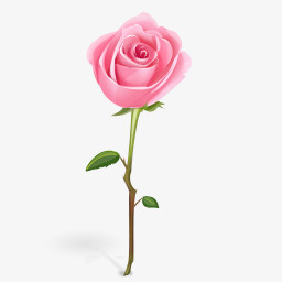 粉红色玫瑰花图标