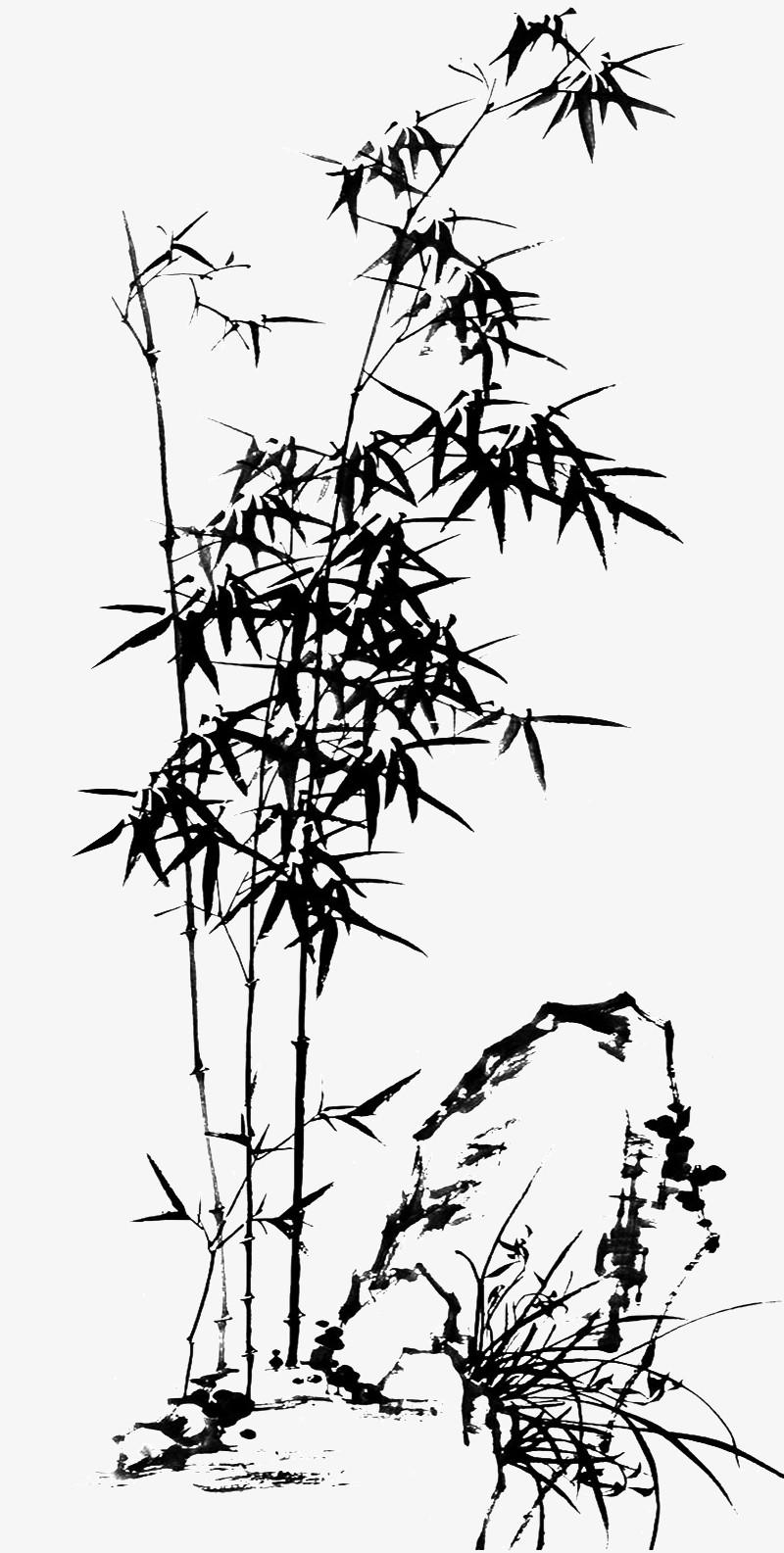 Японский бамбук