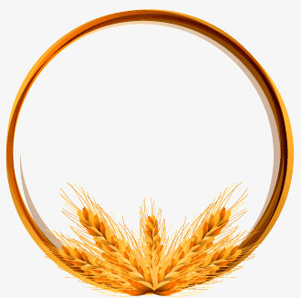 金色麦穗环矢量素材