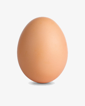 一颗鸡蛋的售价究竟有多高？ (一颗鸡蛋的售价是多少)