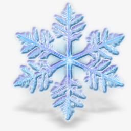 漂亮的雪花图标
