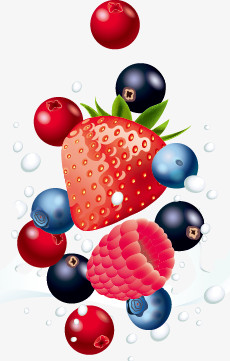 水果草莓蓝莓桑葚牛奶