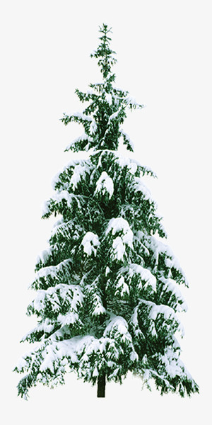 冬天雪树浪漫元素