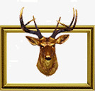 鹿头金属装饰框