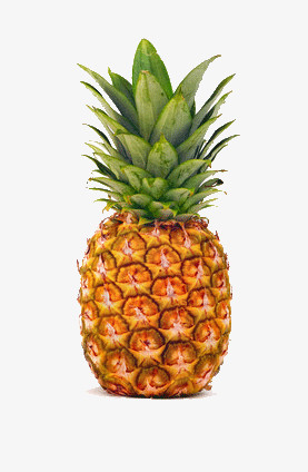 一个完整的菠萝