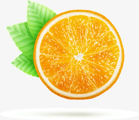 水果橘子矢量图