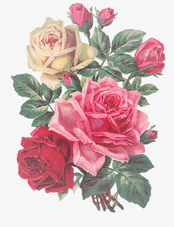 手绘花图片素材手绘花图标  欧式唯美玫瑰花